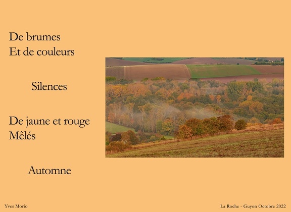 202210 AUTOMNE SILENCE