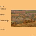 202210 AUTOMNE SILENCE