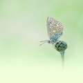 YM 060624 AZURE IMG 2998
