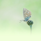 YM 060624 AZURE IMG 2998
