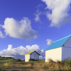 CABANES_DE_GOURVILLE_SUR_MER