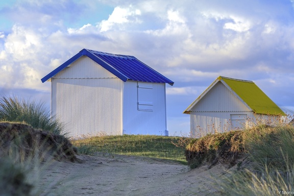 YM 0924 CABANES DE GOUVILLE  MG 5597