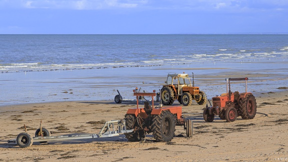 YM 0924 GOURVILLE PLAGE  MG 5626