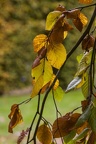 YM  202411 IMG 6728