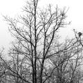 FROID-DUR