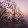 HEURE_BLEUE