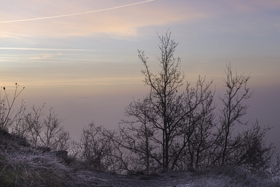 MATIN_FRILEUX