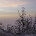 MATIN_FRILEUX