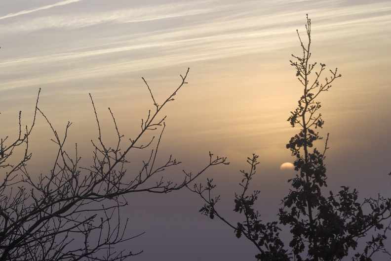 YM_SOLEIL_LEVANT_202501_IMG_7143.jpg
