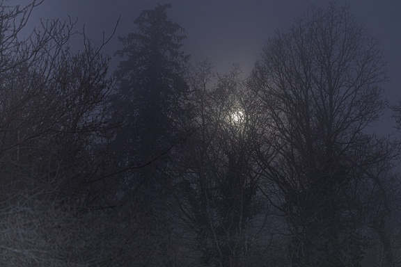 HEURE_BLEUE_A_LA_LUNE