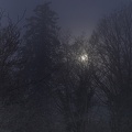 HEURE_BLEUE_A_LA_LUNE