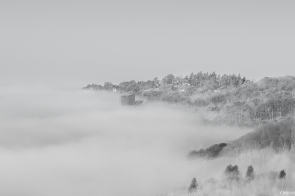 VARIATION_EN_NOIR_ET_BLANC