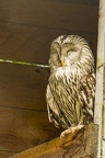 202505 UPIE ZOO IMG 6998
