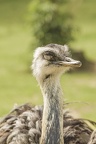 202505 UPIE ZOO IMG 7029