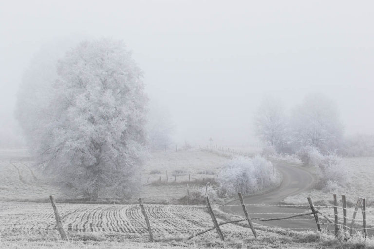 blanc