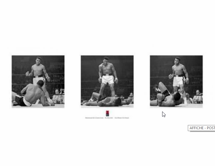 Thème du défi du mois de Mai :  “Le triptyque  ou série de 3 photos “