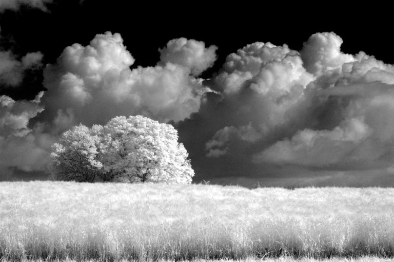 Emmanuelle Pierard : “Noir et Blanc” #photodumois