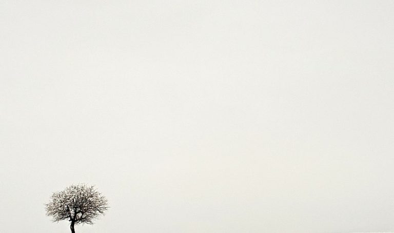 Thème du défi du mois de Septembre :  “Photo minimaliste”