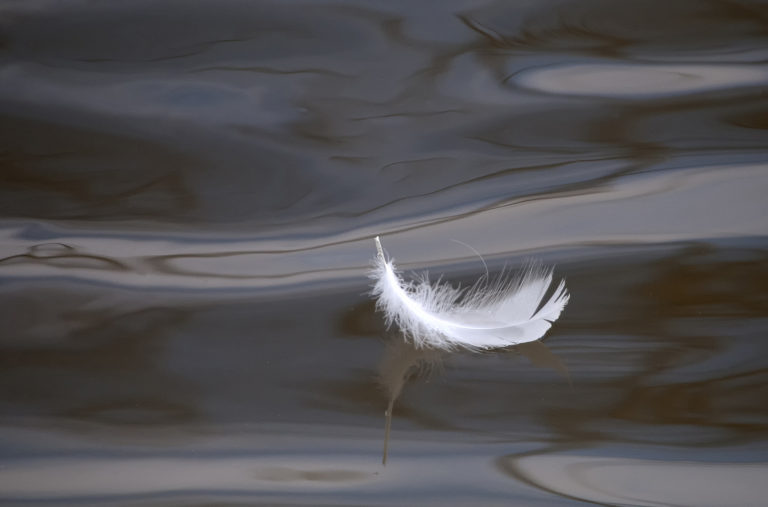 Françoise Hoen  : “Photo Minimaliste” #photodumois