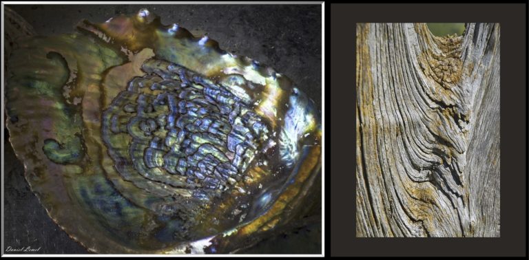 Daniel Lemel & François Vannier  : “Textures” #photoduconfinement