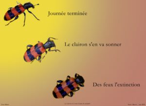 Haïku au clairon