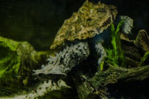 20210701125042-011c1fc7
