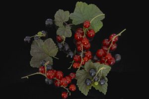 Eté en rouge et noir