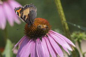20210726184551-32bee624