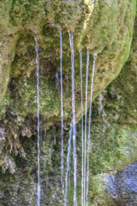 La Sone – Parc – Sources pétrifiantes