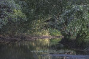 Tranquillité