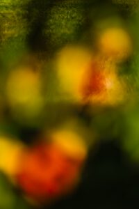 IMPRESSION_AUTOMNE