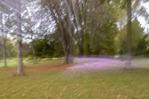 AUTOMNE A BIZY