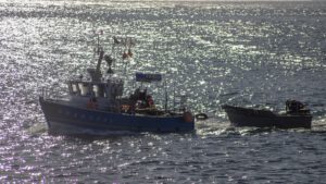RENTREE AU PORT