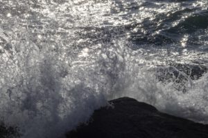 OCEAN