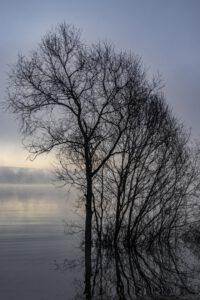 20220127121933-8590355b