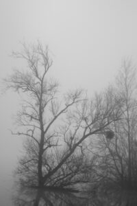 20220127121935-bbc5084a