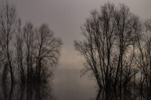 20220127124533-652b330c