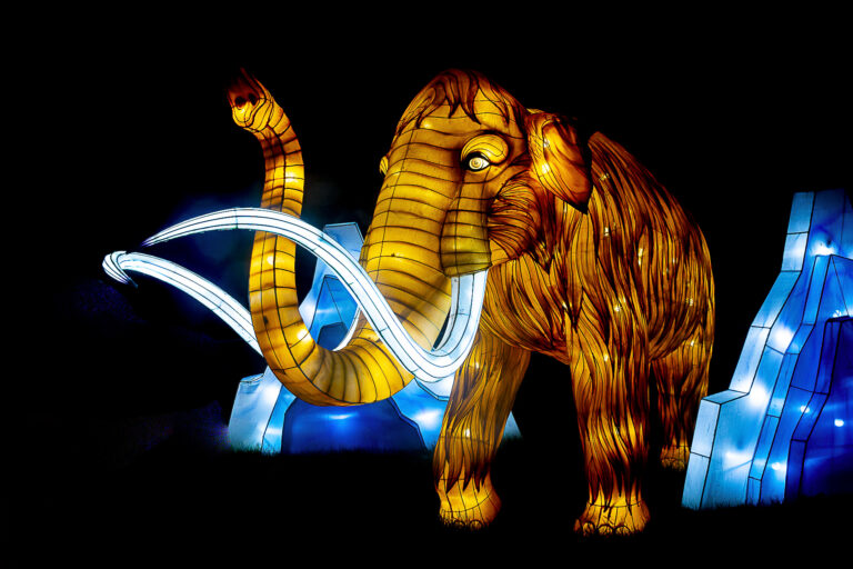 Yves Morio – L’évolution en voie d’Illumination au Jardin des Plantes
