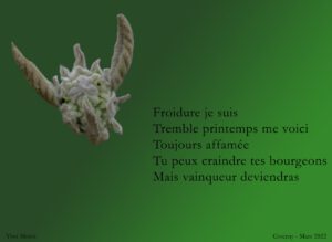 20220320115000-1f7827be