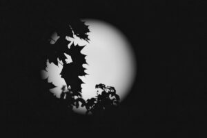 20220725102042-02cf7e07