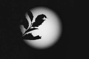 20220725102042-bd906484