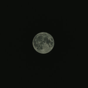 20220725102057-49caf97b