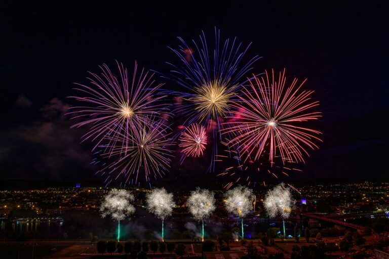 François Vannier  : “Feux d’artifice ” #photodumois