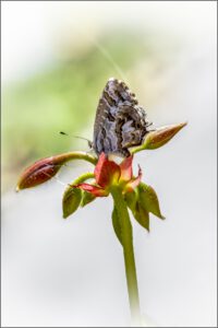 20221102081945-ebda66e3