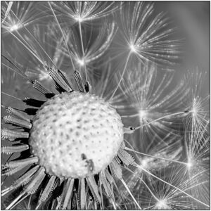20221123064134-fecfd916