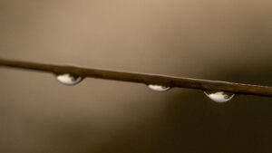 EQUILIBRE