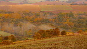 AUTOMNE