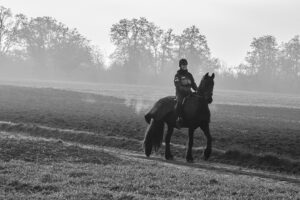 A_LONESONE_COWBOY