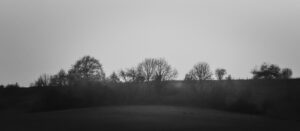 BRUME