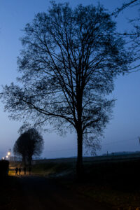 NUIT_HIVER